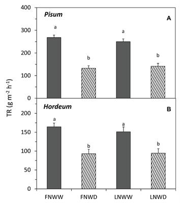 Early Changes in Nitrate Uptake and Assimilation Under Drought in Relation to Transpiration